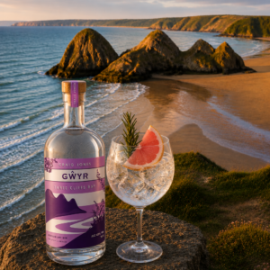 Gwyr Three Cliffs Bay Gin