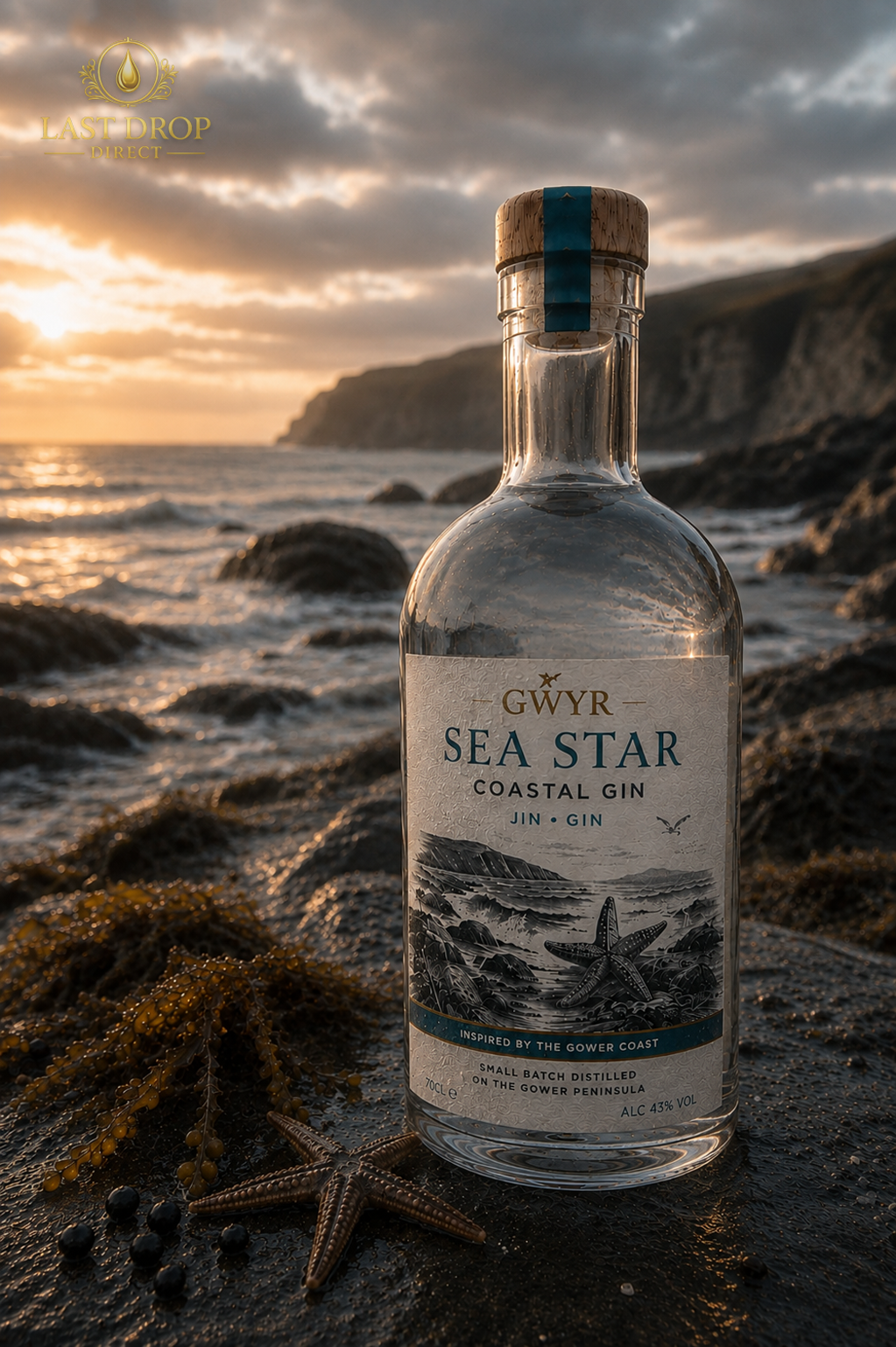 Gwyr Sea Star Coastal Gin
