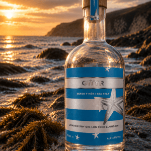 Gŵyr Sea Star London Dry Gin on the Welsh coast at sunset