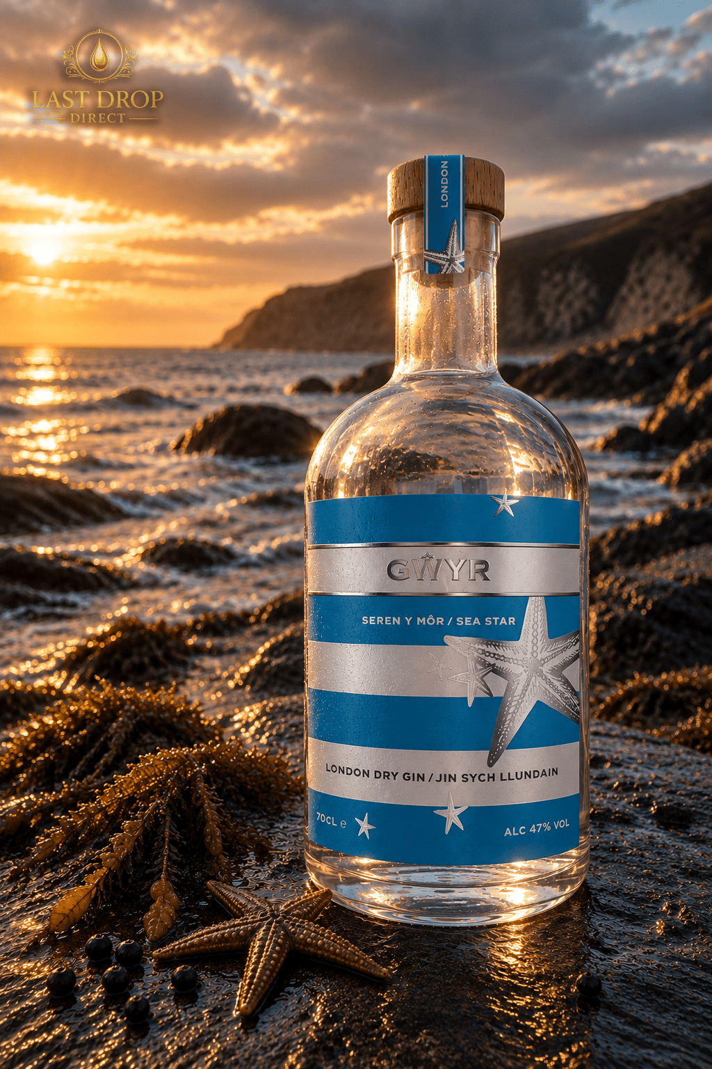 Gŵyr Sea Star London Dry Gin on the Welsh coast at sunset