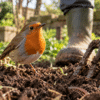A European robin with a bright orange-red breast stands on freshly turned garden soil beside a muddy garden fork and Wellington boot, searching for food in the garden.