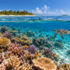 A sea turtle swims above a colourful coral reef teeming with tropical fish, beneath clear turquoise waters beside a palm-fringed tropical island.